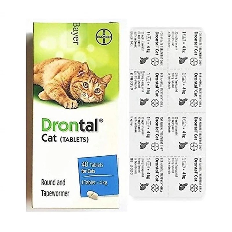 6.Drontal Cat